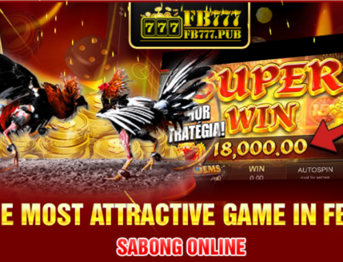 Sabong Online – The Most Attractive Game In FB777